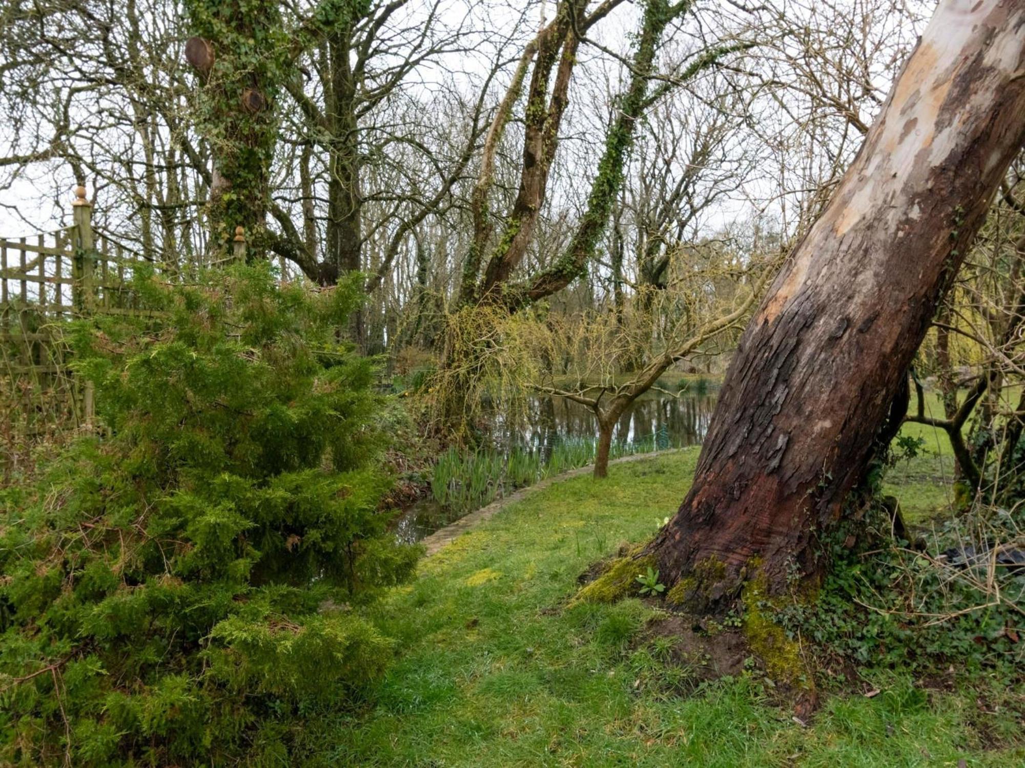 Secluded Holiday Home In Ceredigion With Garden Pennant  Buitenkant foto